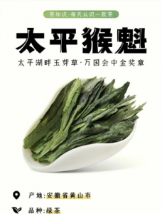 黄山藏着太平猴魁！连茶文化节都恋着这片云雾山-茶之家