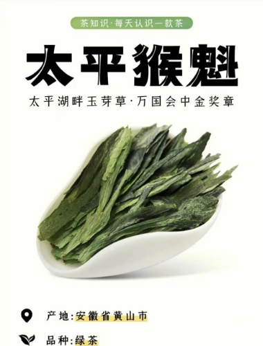 黄山藏着太平猴魁！连茶文化节都恋着这片云雾山-茶之家
