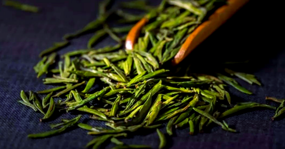 天山绿茶价里藏雾韵？从百元到数千，裹着闽东甜-茶之家