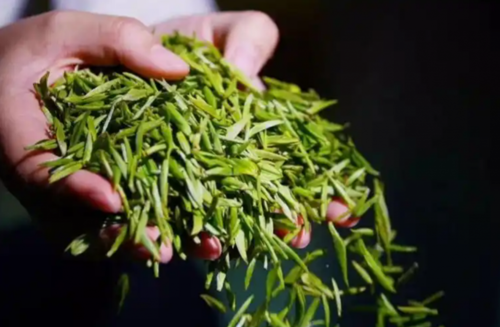 南京雨花茶价藏松针韵？从百元到数千，裹着金陵春-茶之家