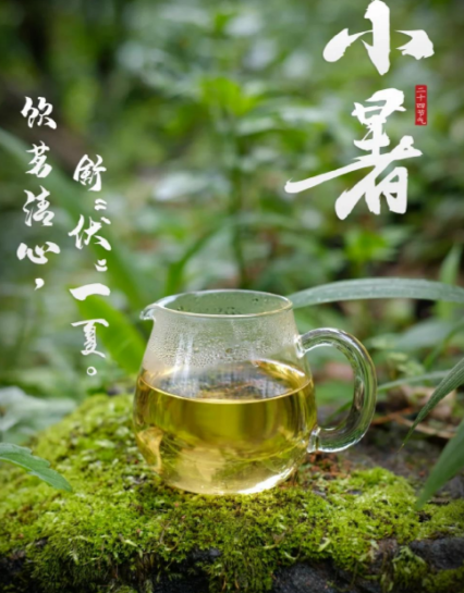 小暑喝茶有门道？这样喝，清暑又润脾-茶之家