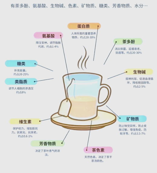 茶叶里的 “健康密友”？这些成分，悄悄护着身体-茶之家
