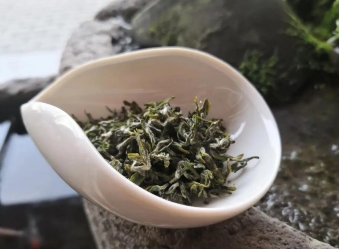 普陀佛茶价里藏禅？从百元到数千，裹着海天清-茶之家