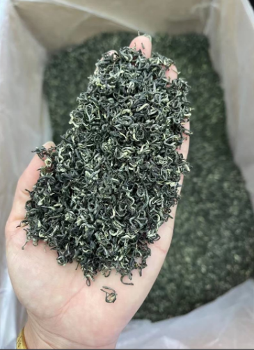 遵义毛峰价里藏雾甜？从百元到数千，裹着黔北春-茶之家