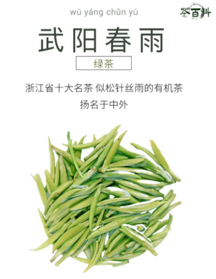 武阳春雨价里藏春鲜？从百元到数千，裹着雾中甜-茶之家