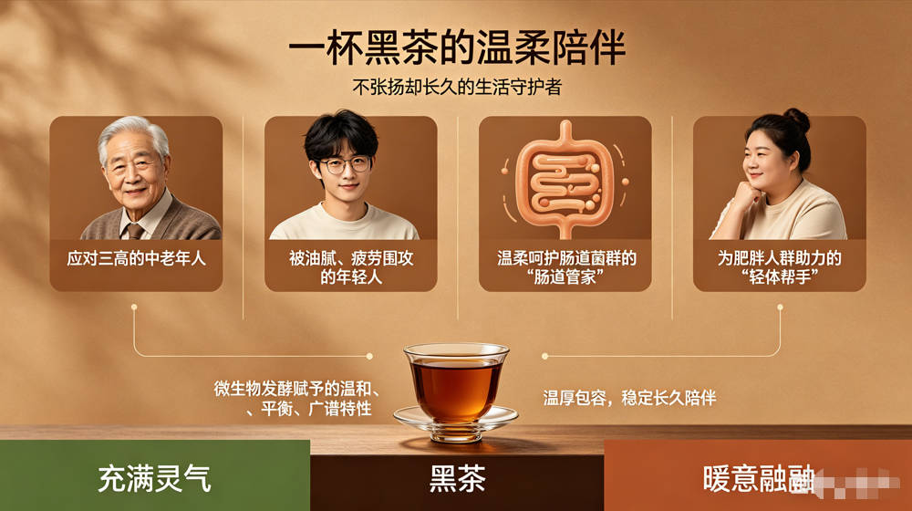 藏在六大茶类中的“低调王者”：一杯黑茶-茶之家